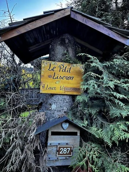 Le Petit Liseron Morzine