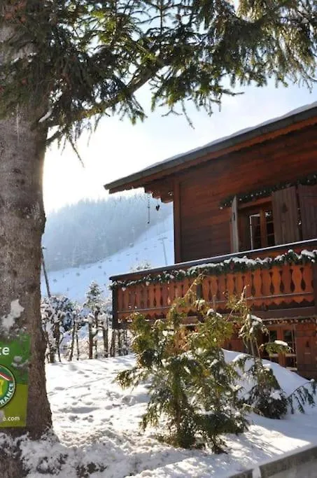 Chalet Le Petit Liseron Morzine France